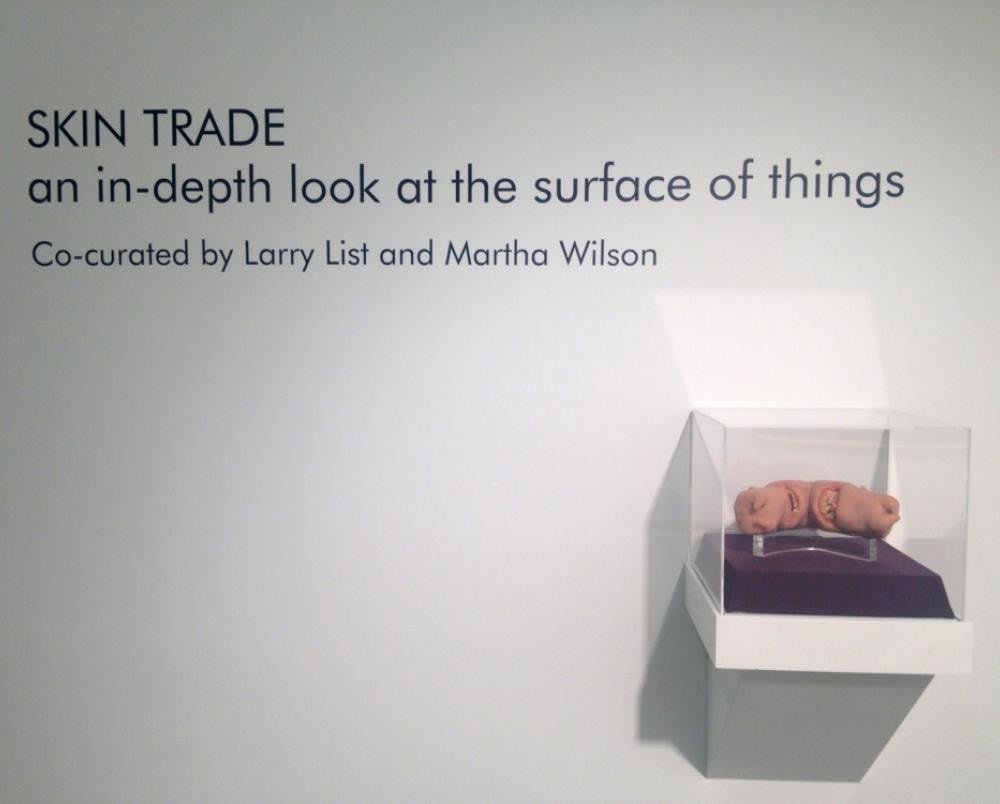 SKIN TRADE, 2013 install 3