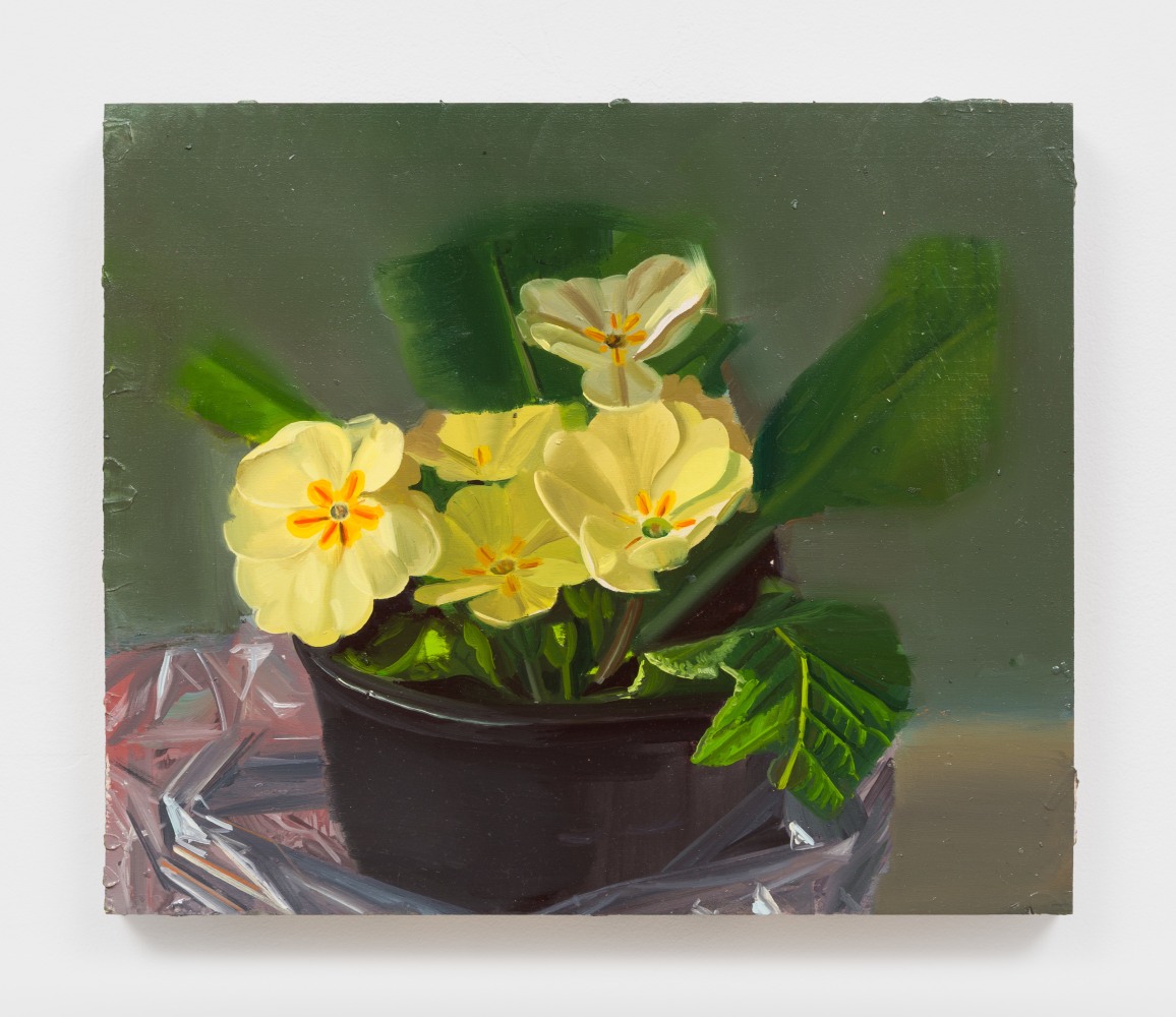 Phoebe Helander
Flowers in a plastic bag, 2025
oil on wood
11 3/8 x 13 1/2 x 1 ins.
28.9 x 34.3 x 2.5 cm