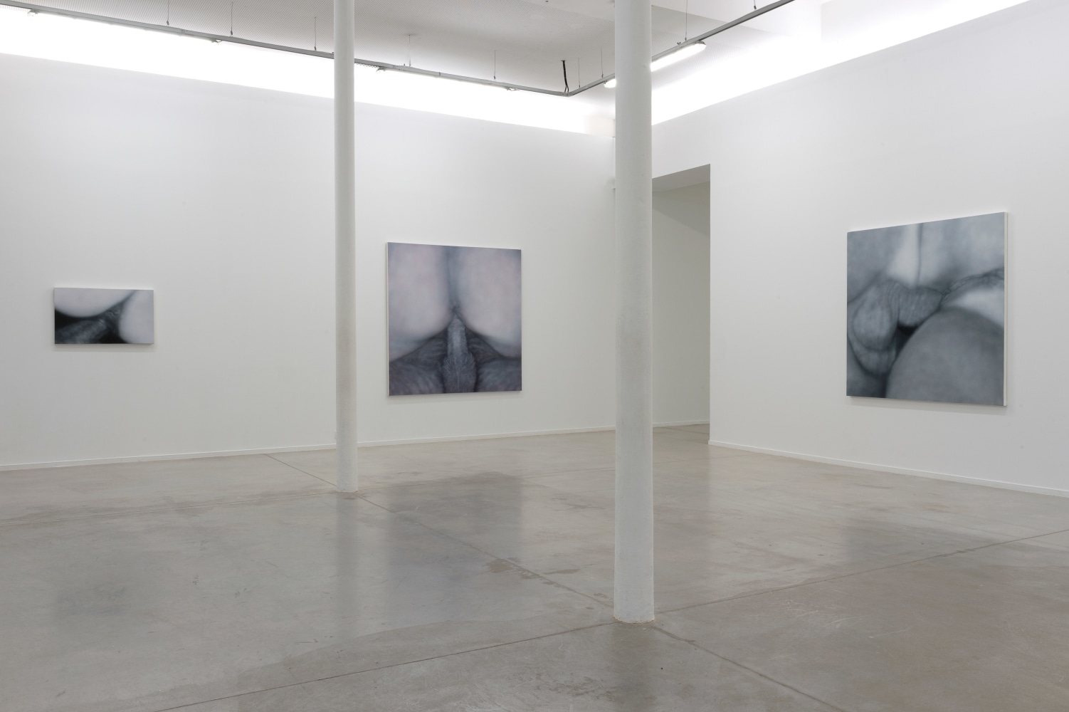 Installation View, Betty Tompkins: Raw Material, MO.CO Montpellier Contemporain, France. Photo by Marc Domage