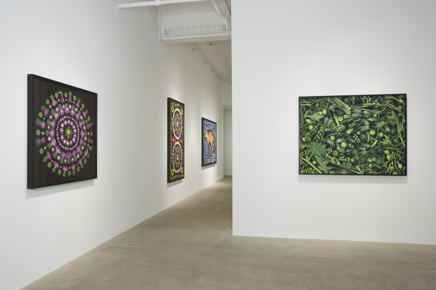 Reflecting Pool, 2013 install 4