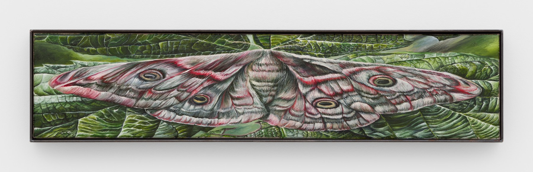 Srijon Chowdhury
moth, 2024
oil on linen
26 x 6 ins.
66 x 15.2 cm