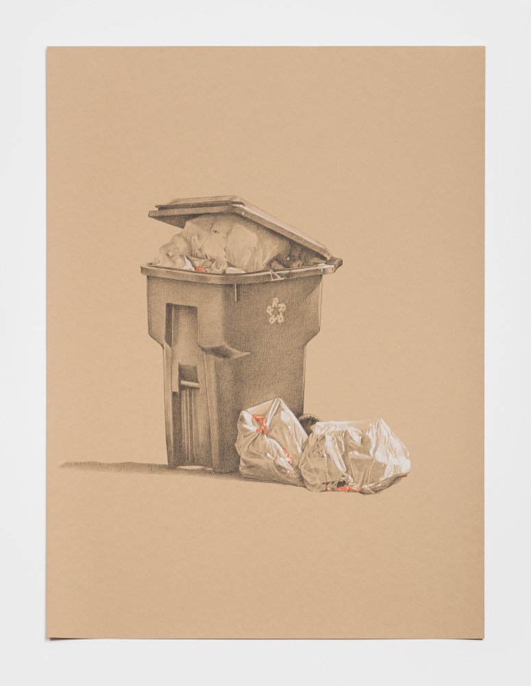 Joe Houston
Arrangement II, 2024
conte crayon and pastel on kraft colored stonehenge paper
29 5/8 x 21 7/8 ins.
75.2 x 55.6 cm