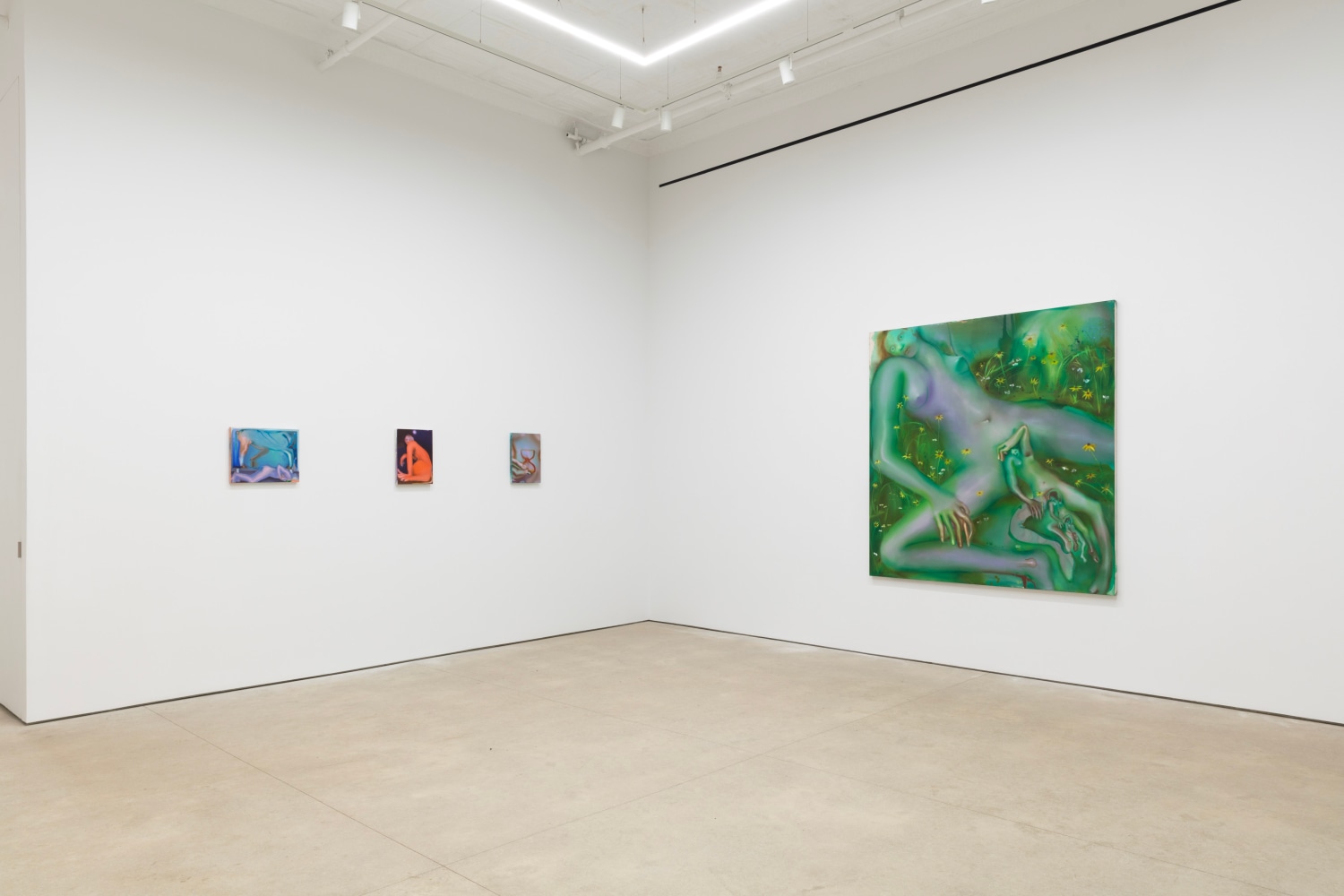 Elizabeth Glaessner, Phantom Tail install 4