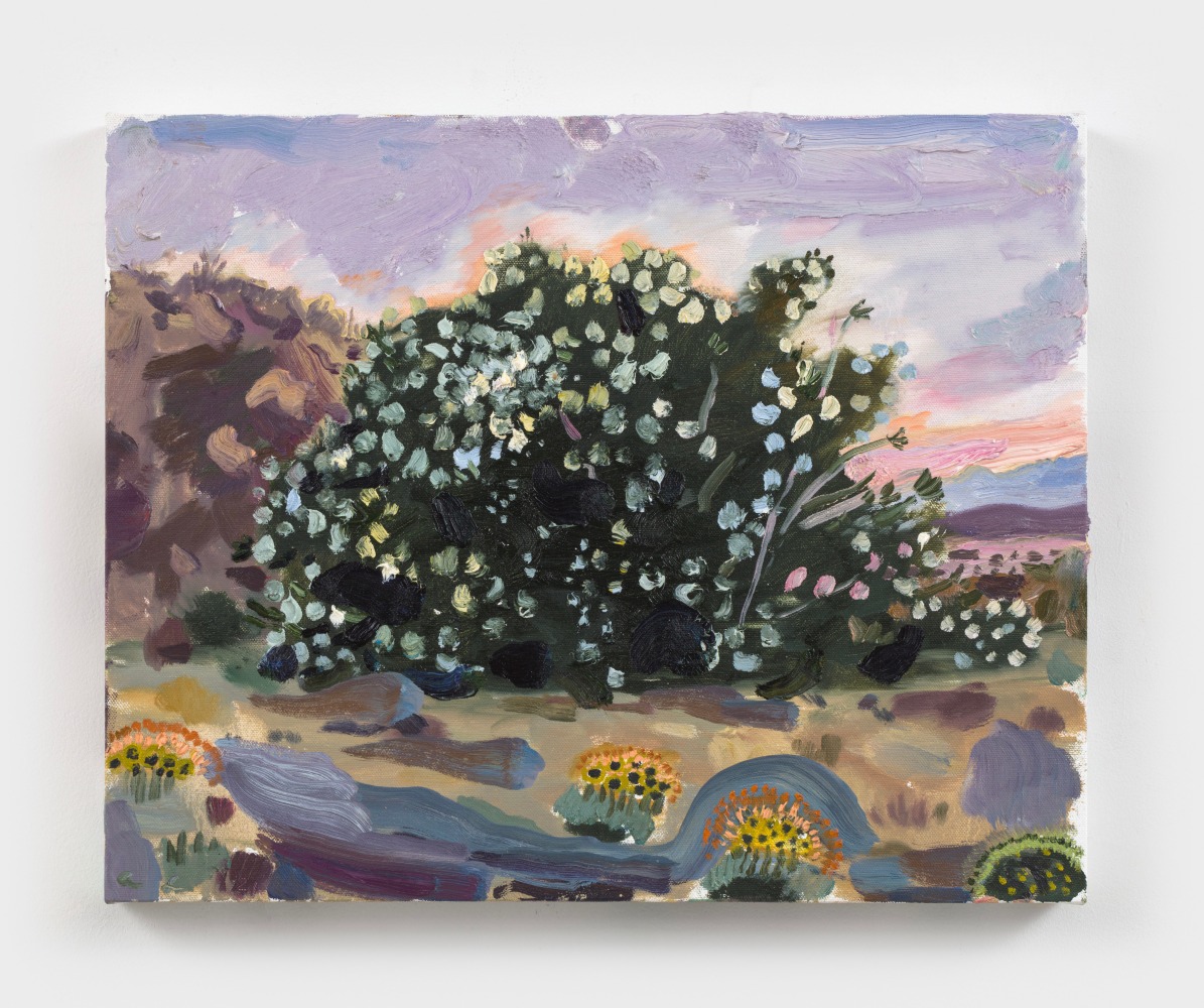 Allison Schulnik
Oleander #4, 2021
oil on canvas stretched over panel
16 x 20 ins.
40.6 x 50.8 cm