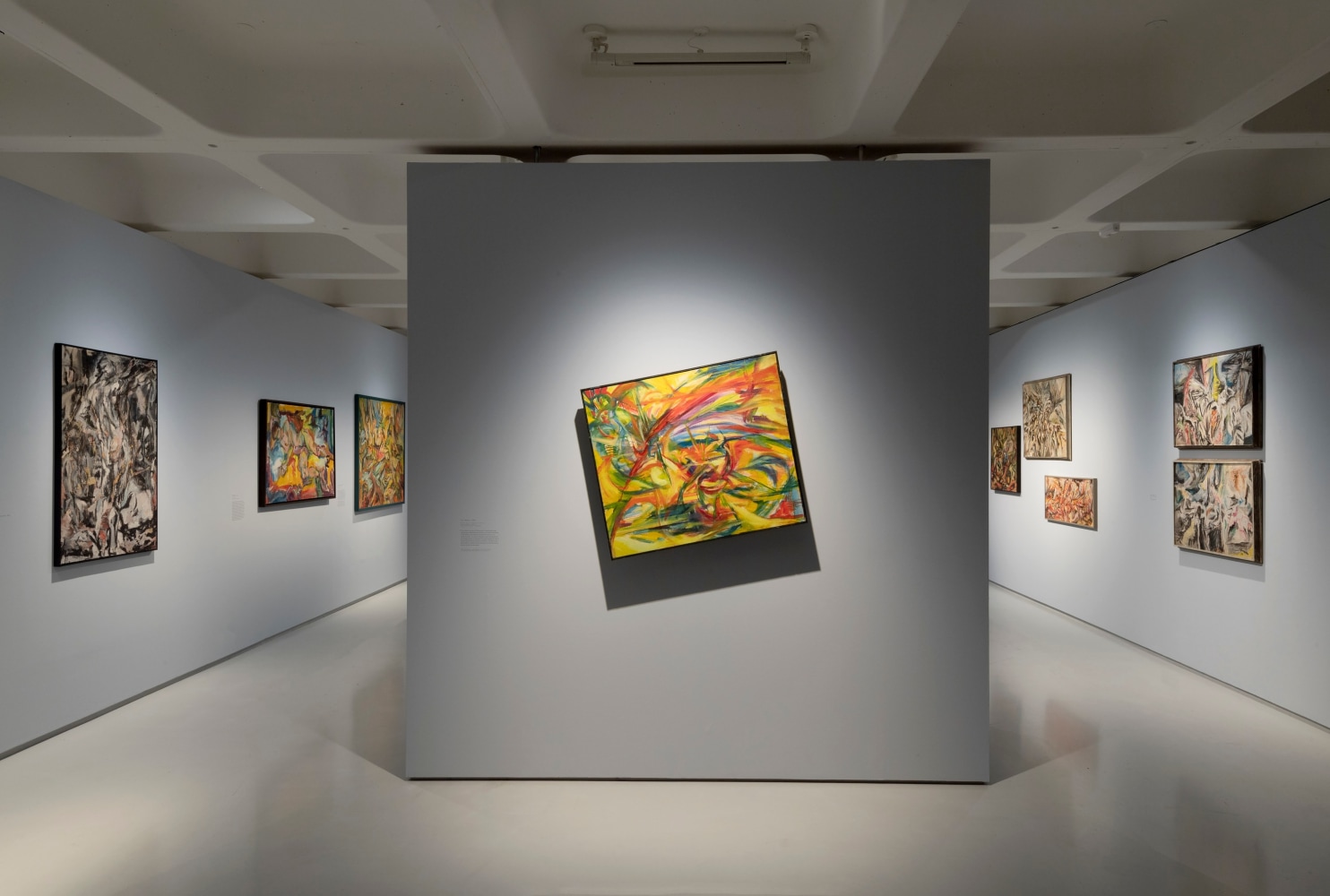 Carolee Schneemann: Body Politics, installation view 11