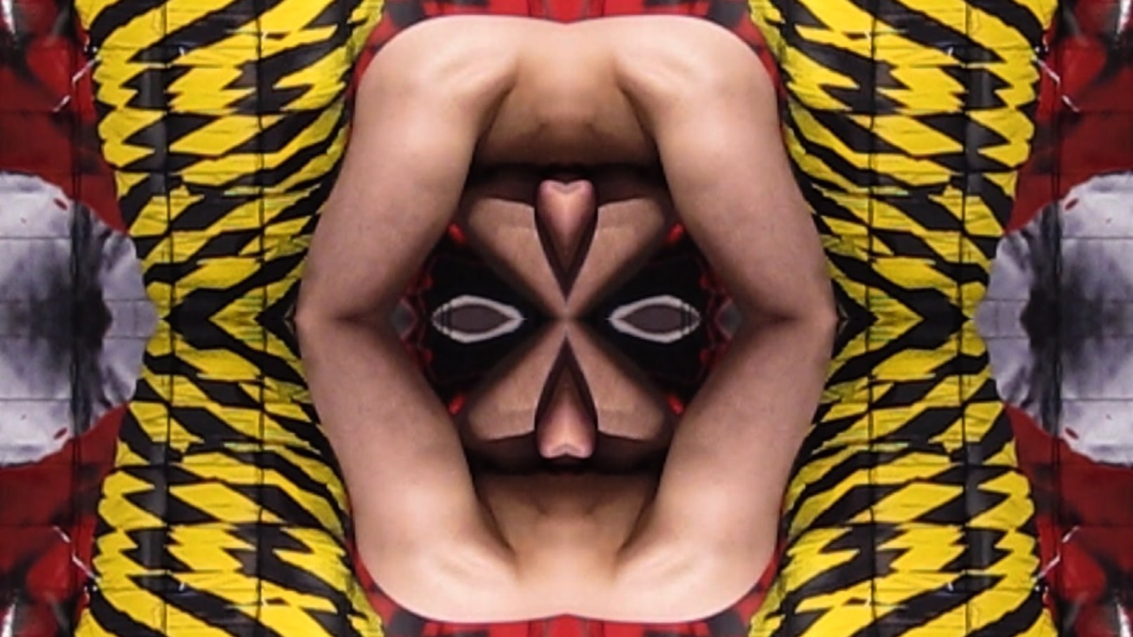 Hunter Reynolds, Mummification Heart Transformations, 2012