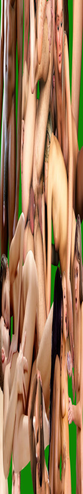 Dinh Q. Lê, Pleasure World, 2018