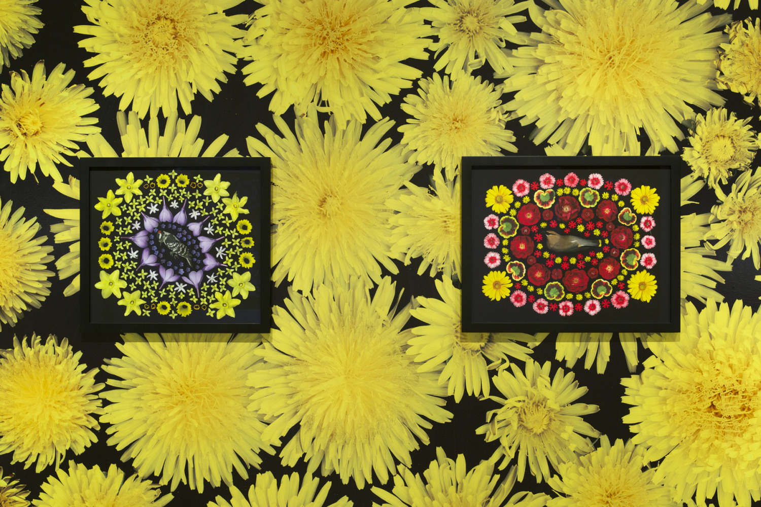 Reflecting Pool, 2013 install 8