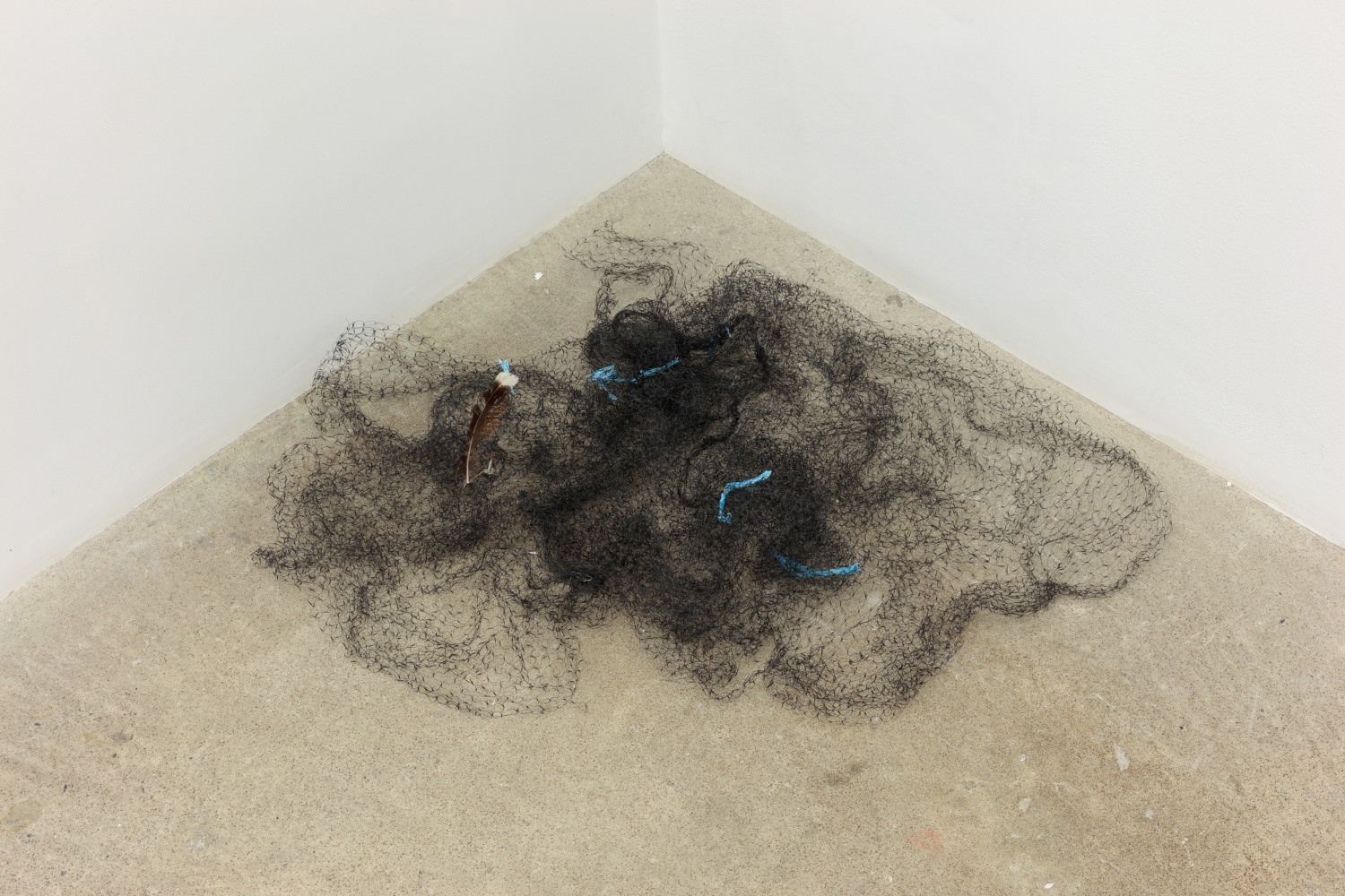 Carolee Schneemann, Kinetic Action: Where's Niña?