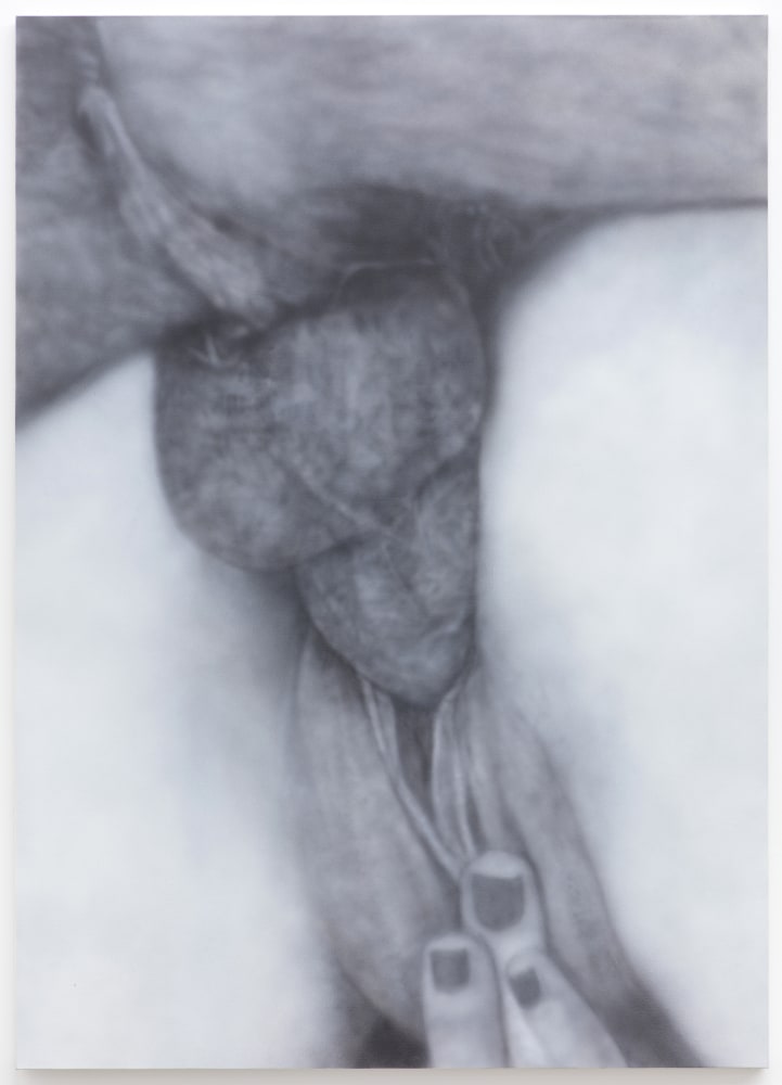 Betty Tompkins Fuck Painting #46, 2012