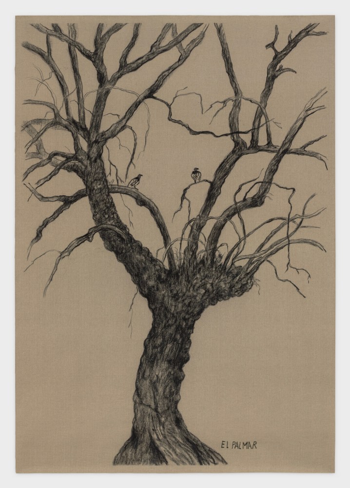 Nohem&amp;iacute; P&amp;eacute;rez
El Palmar No. 2, 2022
charcoal and embroidery on canvas
82 5/8 x 58 1/4 ins.
210 x 148 cm