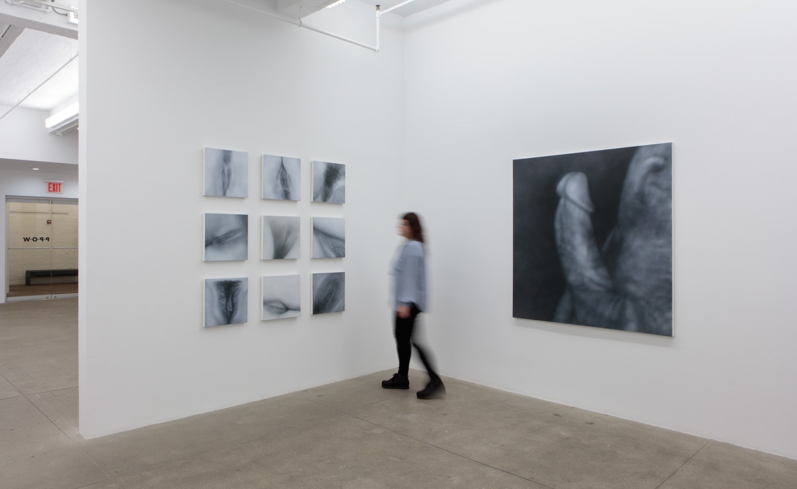 Betty Tompkins, Virgins, install 6