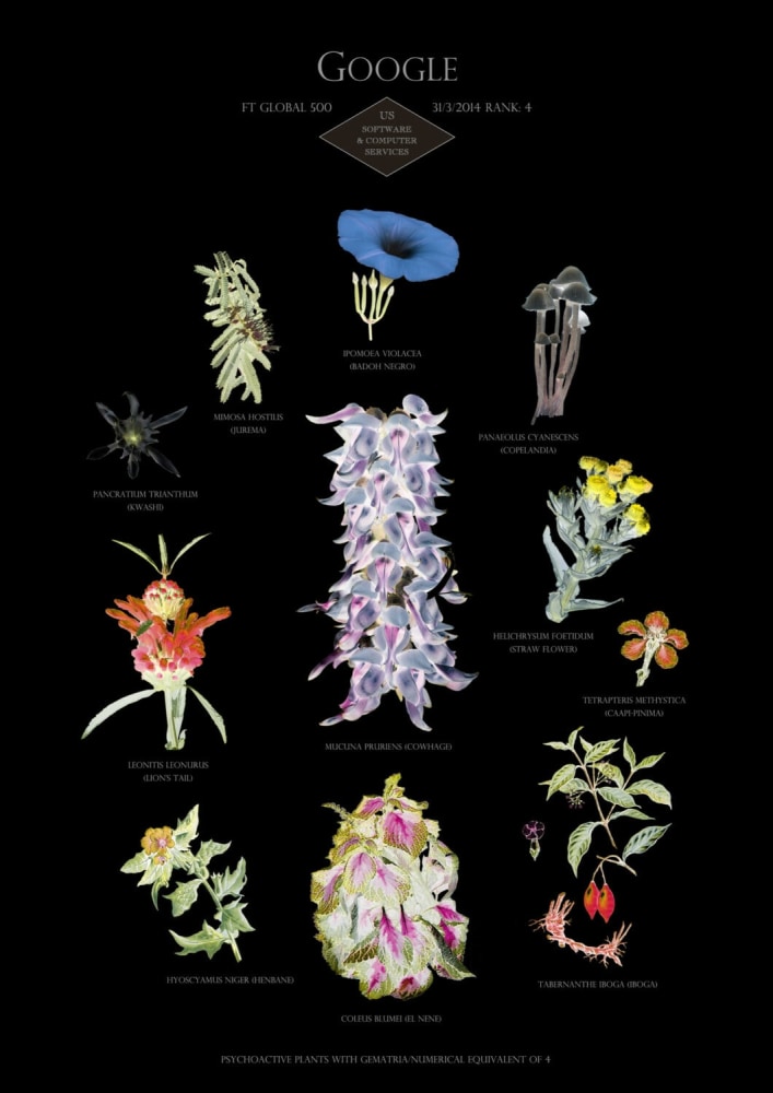 Suzanne Treister
HFT The Gardener/ Botanical Prints/ Rank 4: Google &amp;ndash; US &amp;ndash; Software &amp;amp; computer services, 2014-15
Archival giclee prints on Hahnemuhle Bamboo paper, Edition of 15
11.7 x 16.5 ins
29.7 x 42 cm