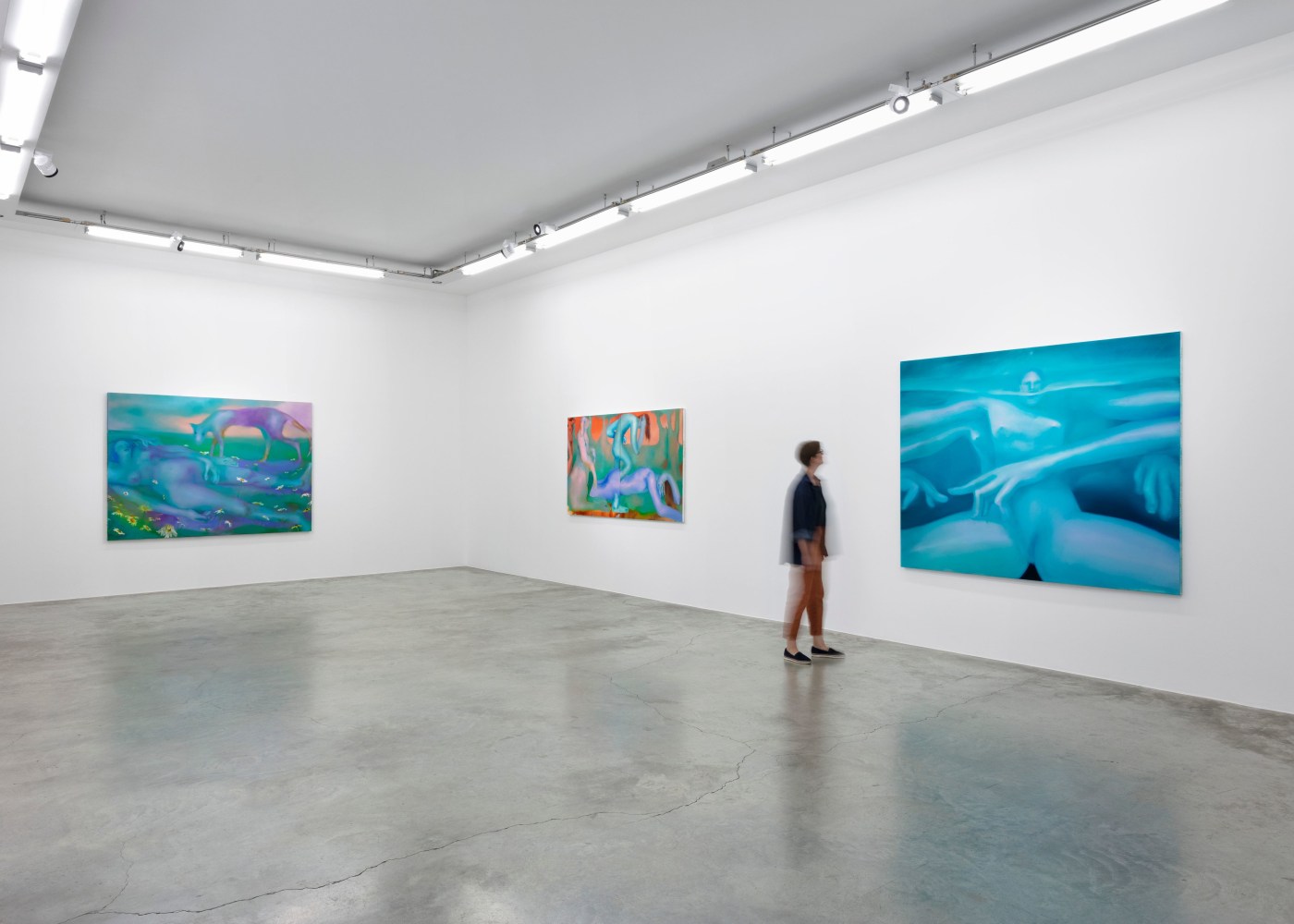 Elizabeth Glaessner, Dead Leg, installation view 1