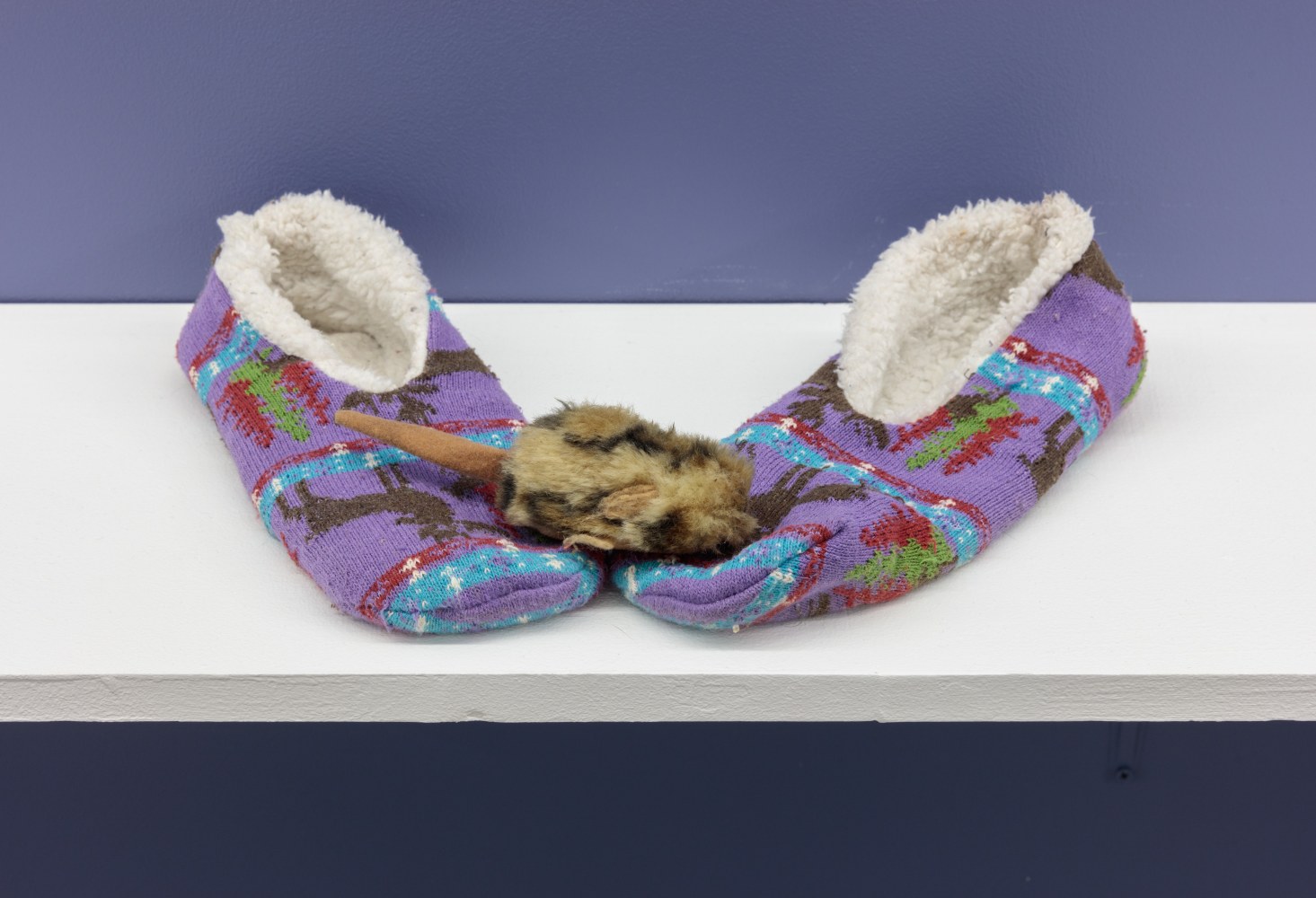 Carolee Schneemann, Assemblage; slippers with toy mouse