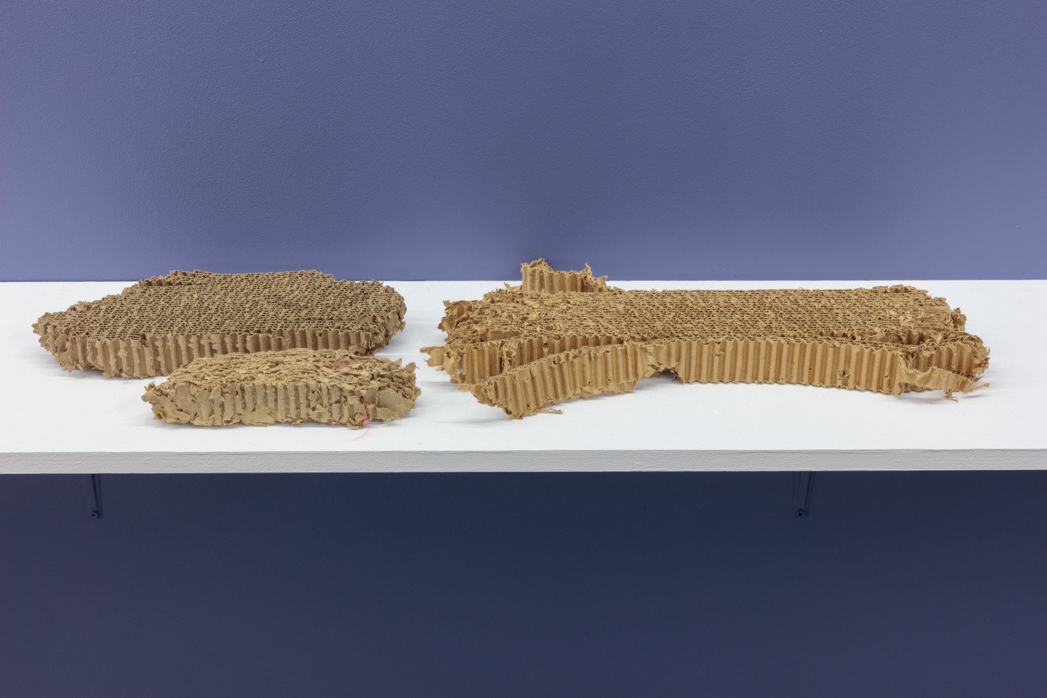 Carolee Schneemann, Transformation/ Cardboard,