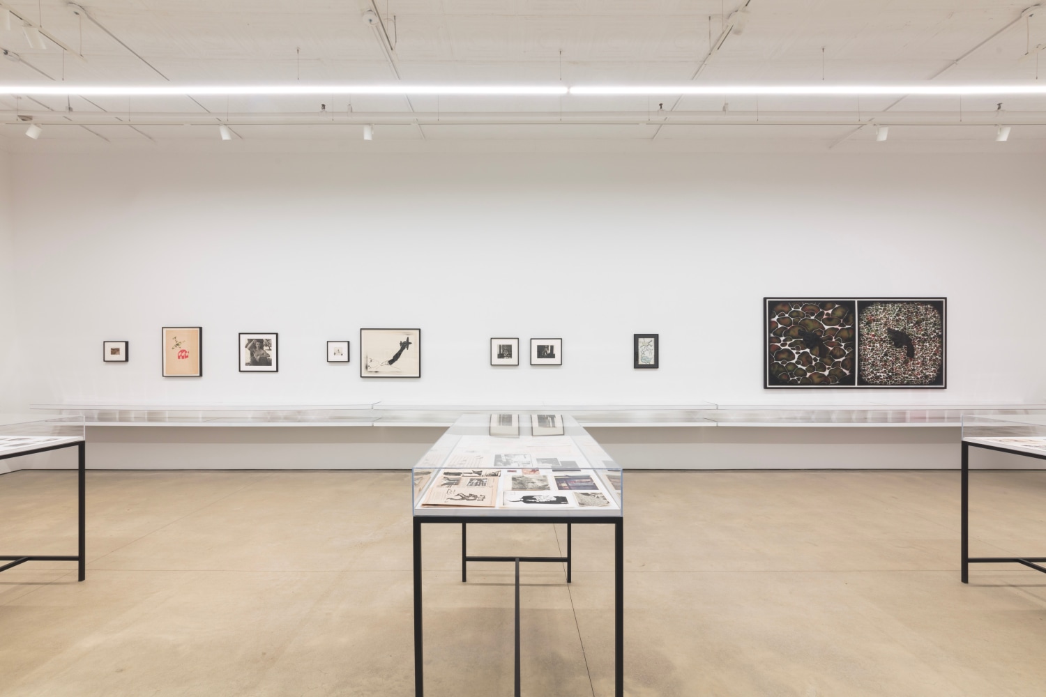 David Wojnarowicz, Dear Jean Pierre, install 9