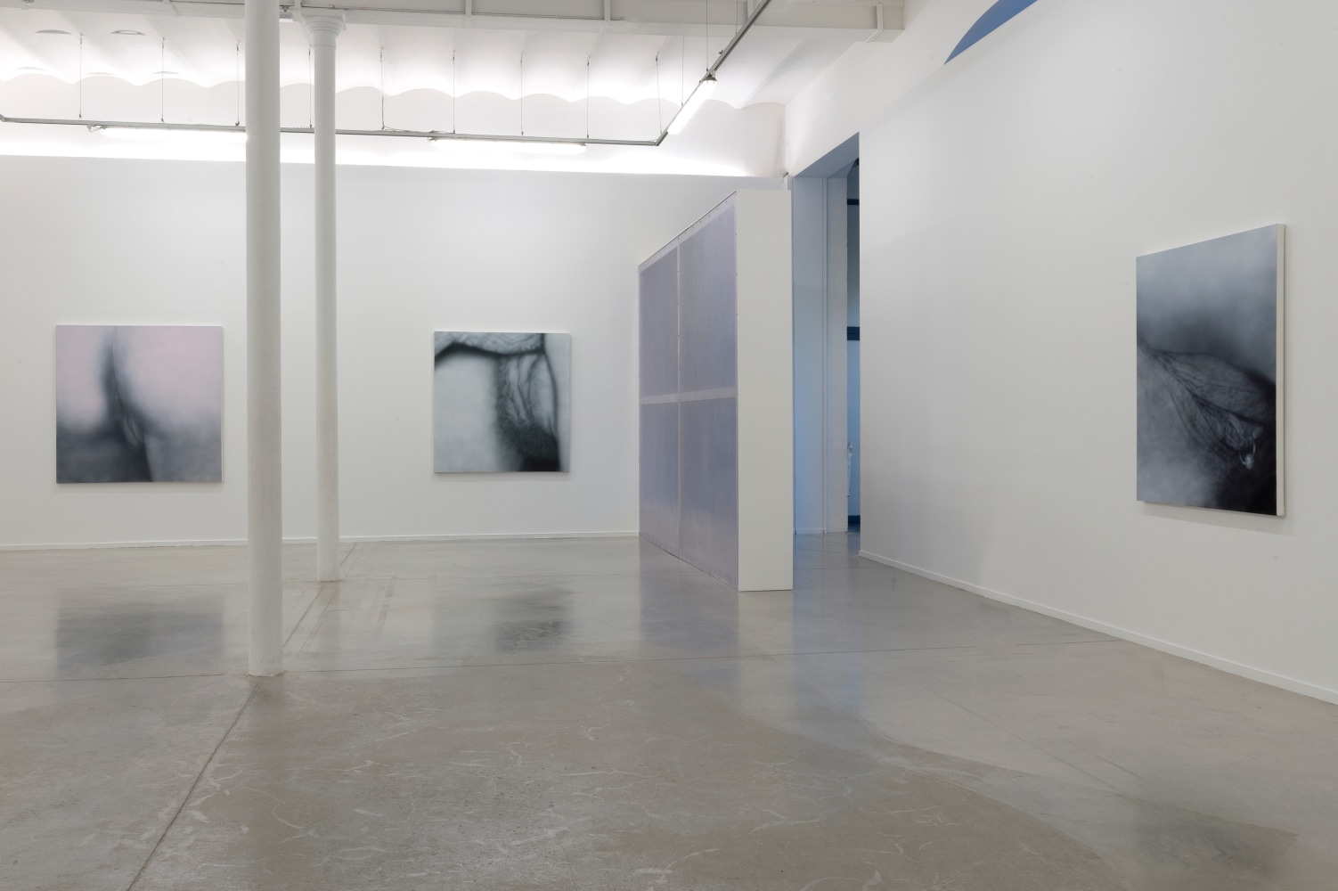 Installation View, Betty Tompkins: Raw Material, MO.CO Montpellier Contemporain, France. Photo by Marc Domage