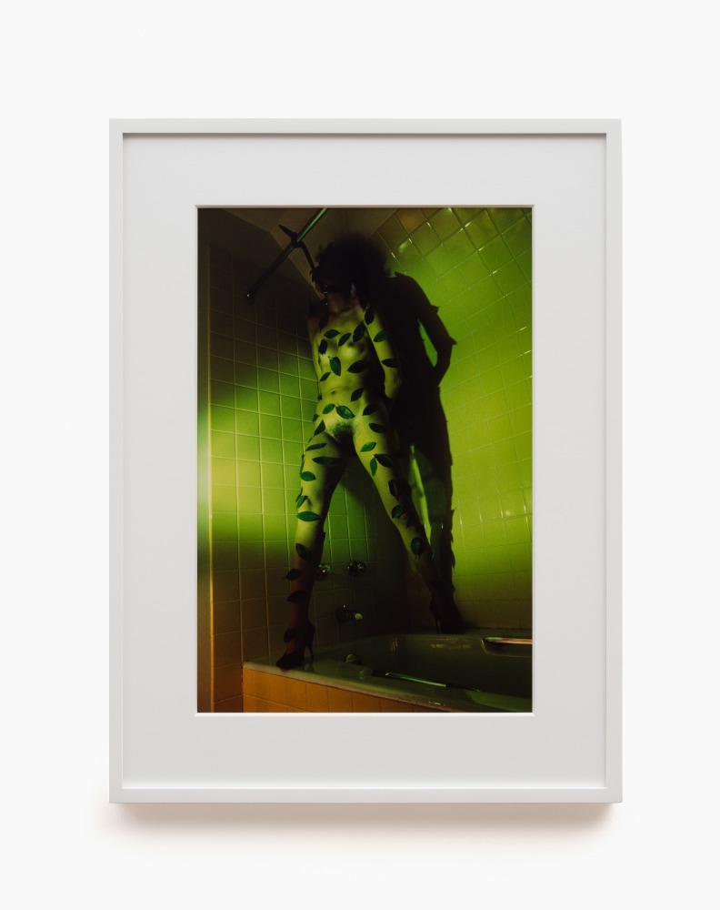 Jimmy DeSana
Leaves, 1979
Chromogenic print
Image: 18 3/4 x 12 1/2 ins. (47.6 x 31.8 cm)
Framed: 24 &amp;times; 17 3/4 in. (61 &amp;times; 45.1 cm)