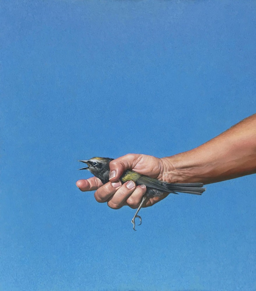 Joe Houston, HOLD, 2018