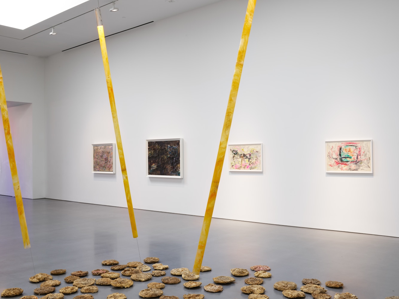 Carolee Schneemann (Installation View) Lisson Gallery, Los Angeles, CA, April 11 &amp;ndash; May 24, 2025