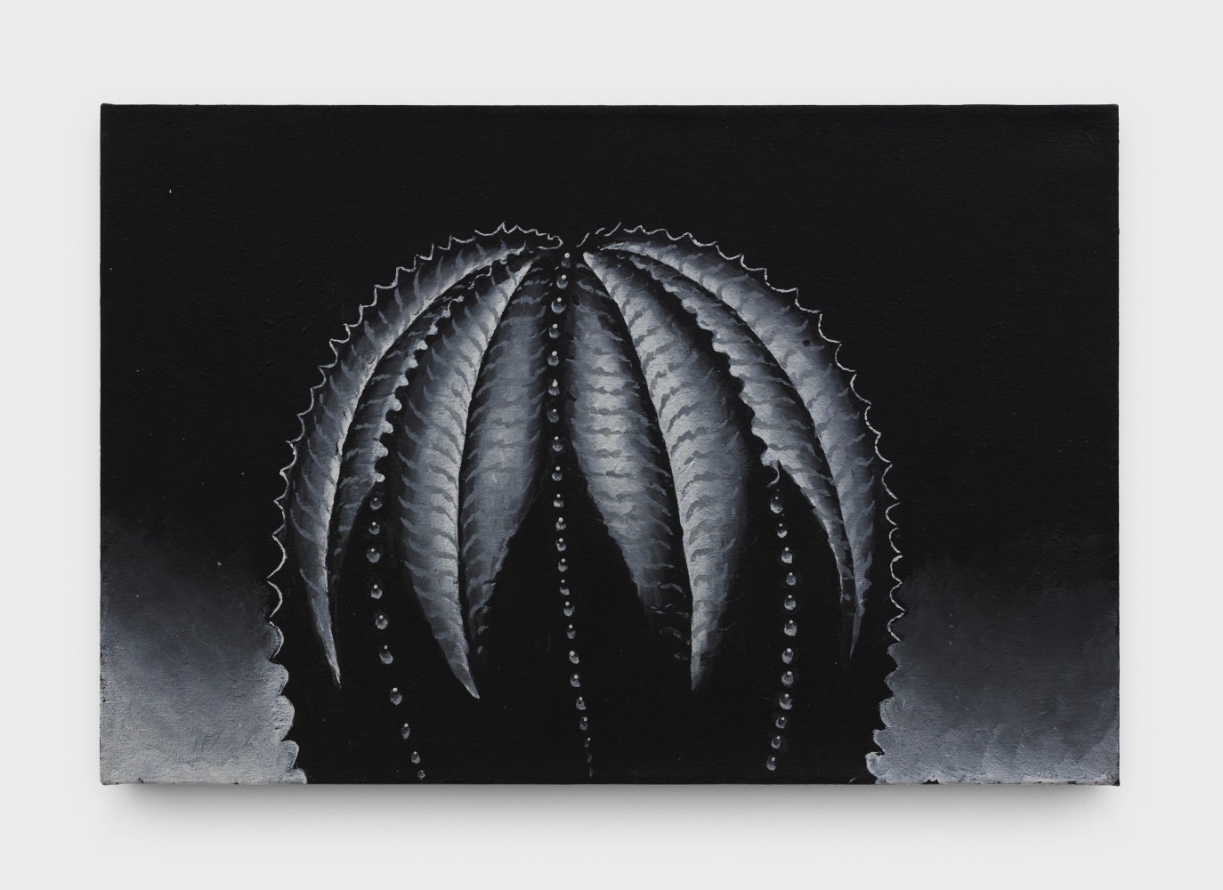 Martin Wong, Euphorbia Obesa, 1997-98