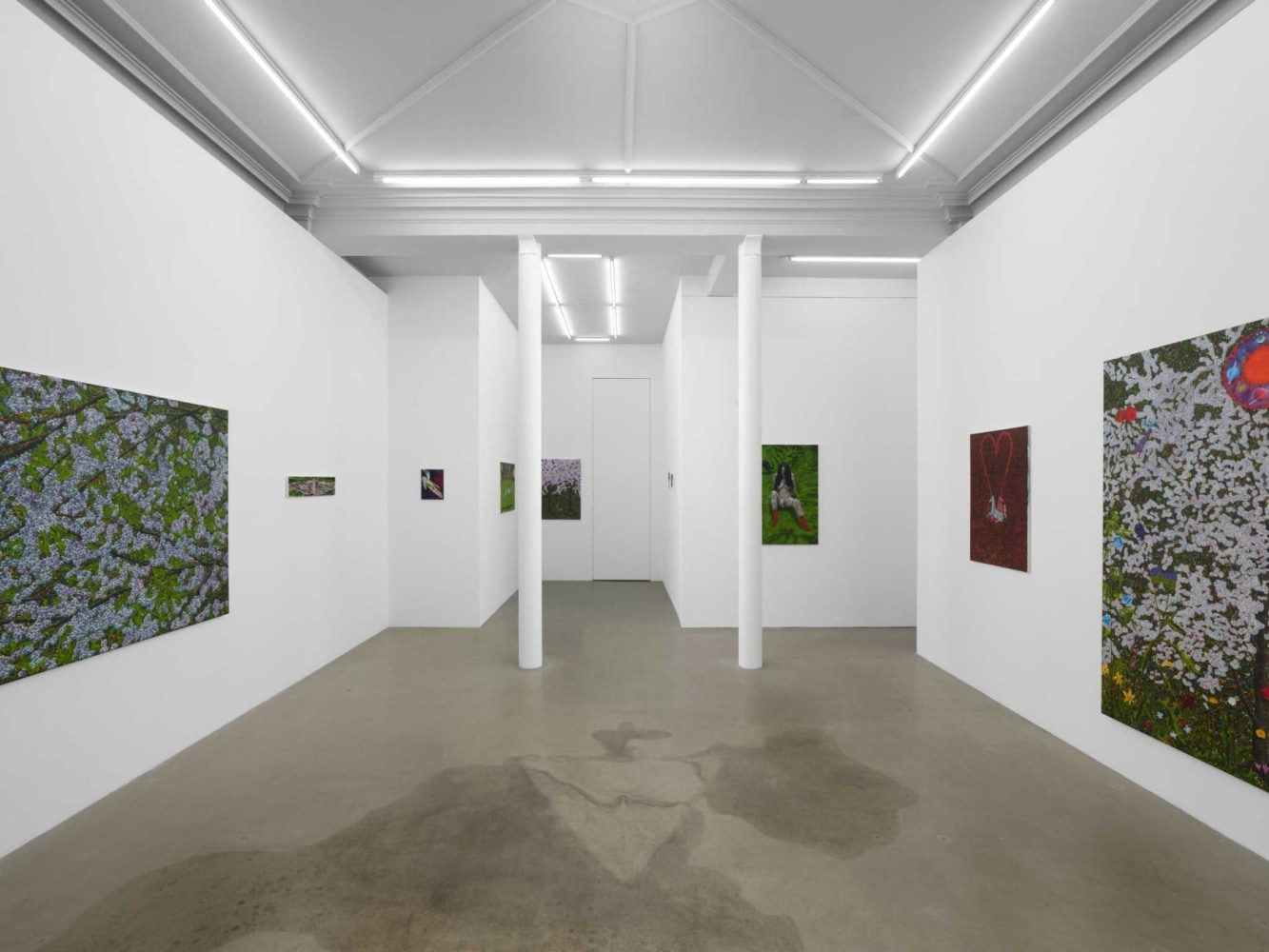 The Whorled (installation view). Photo by Aur&amp;eacute;lien Mole