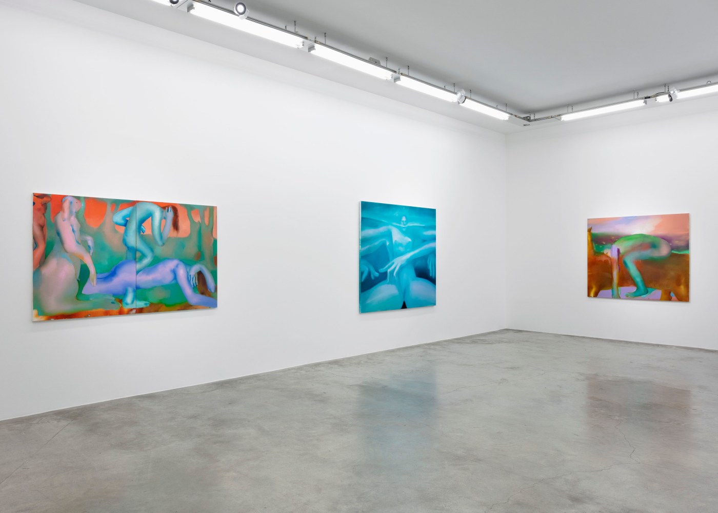 Elizabeth Glaessner, Dead Leg, installation view 4