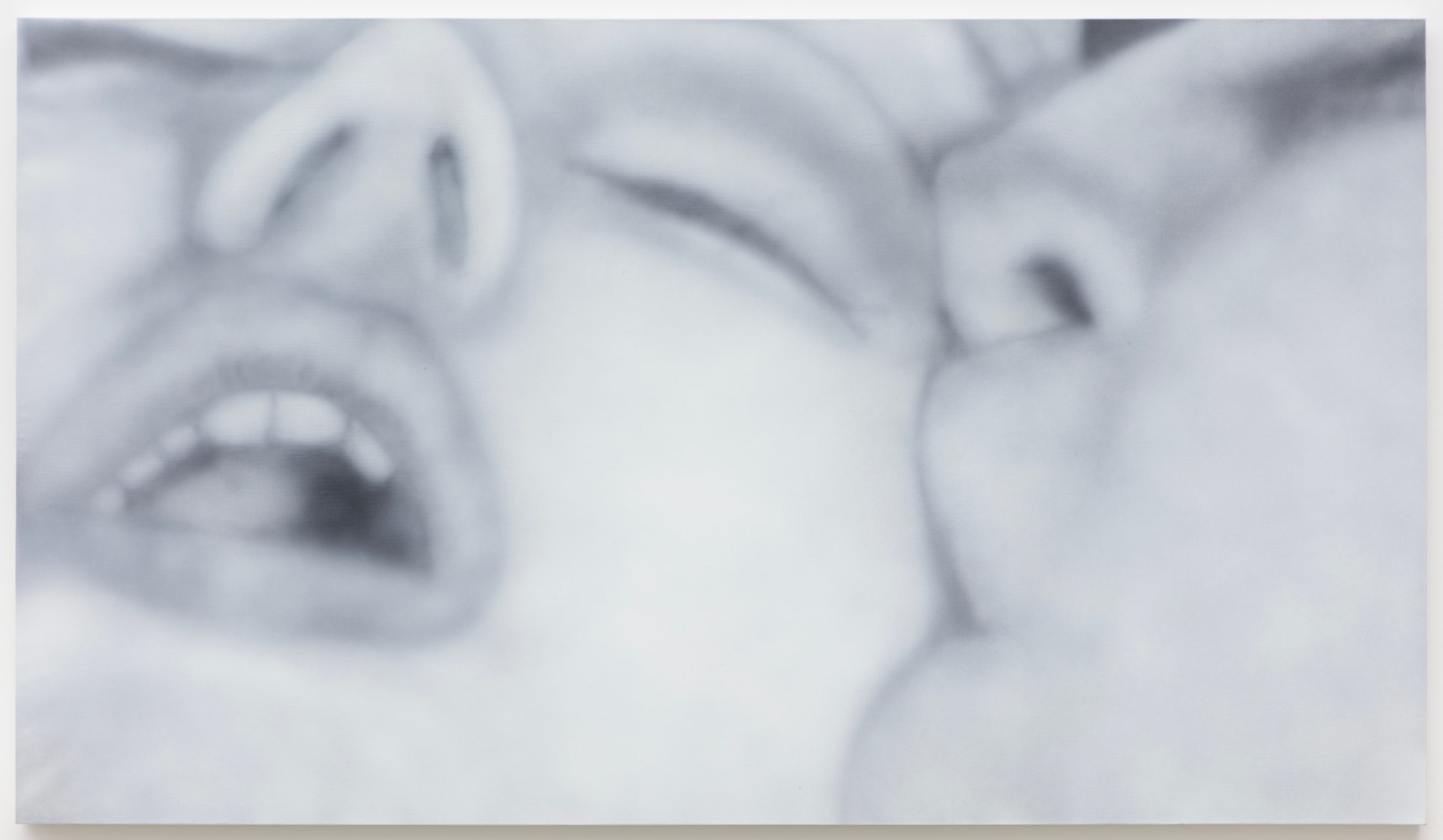 Betty Tompkins
Sex Painting #5, 2016
acrylic on canvas
44 x 77 ins.
111.8 x 195.6 cm