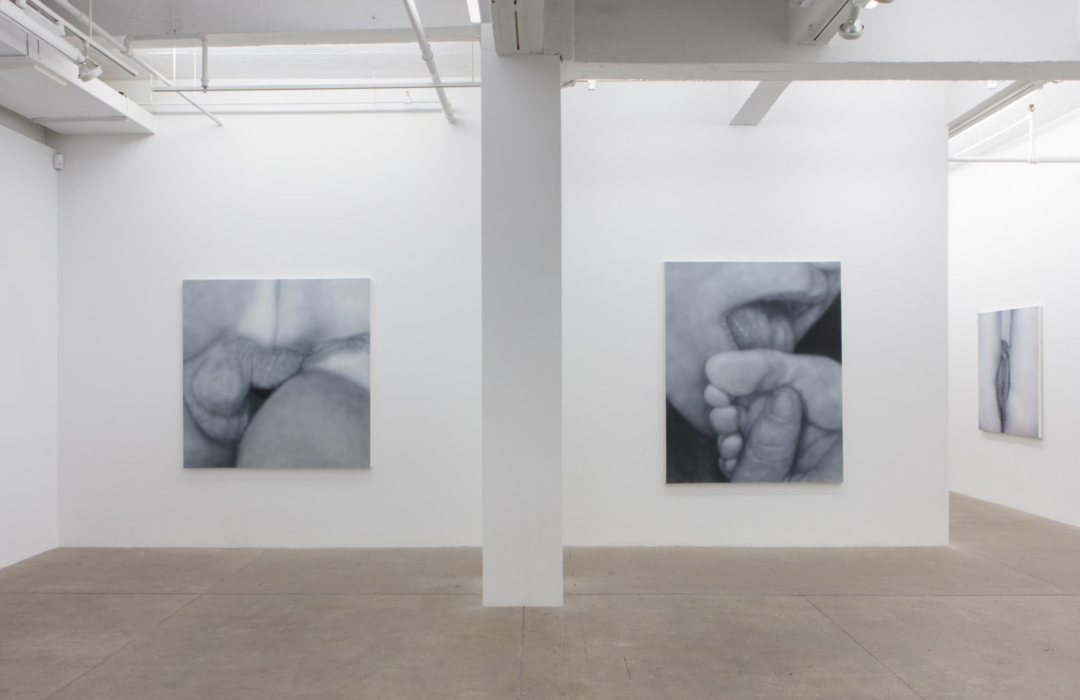 Betty Tompkins, Virgins, install 1