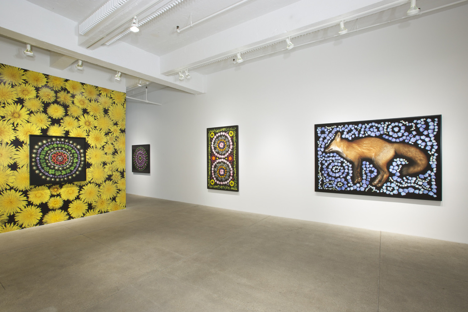 Reflecting Pool, 2013 install 2