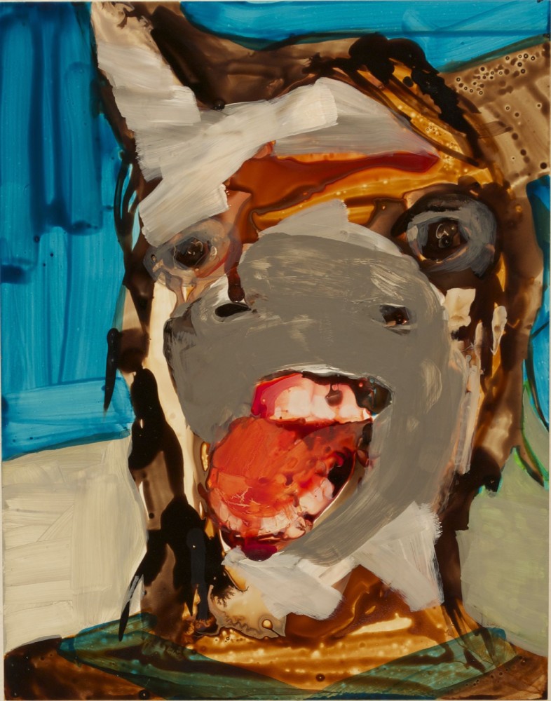 Elizabeth Glaessner, Donkey Face, 2014
