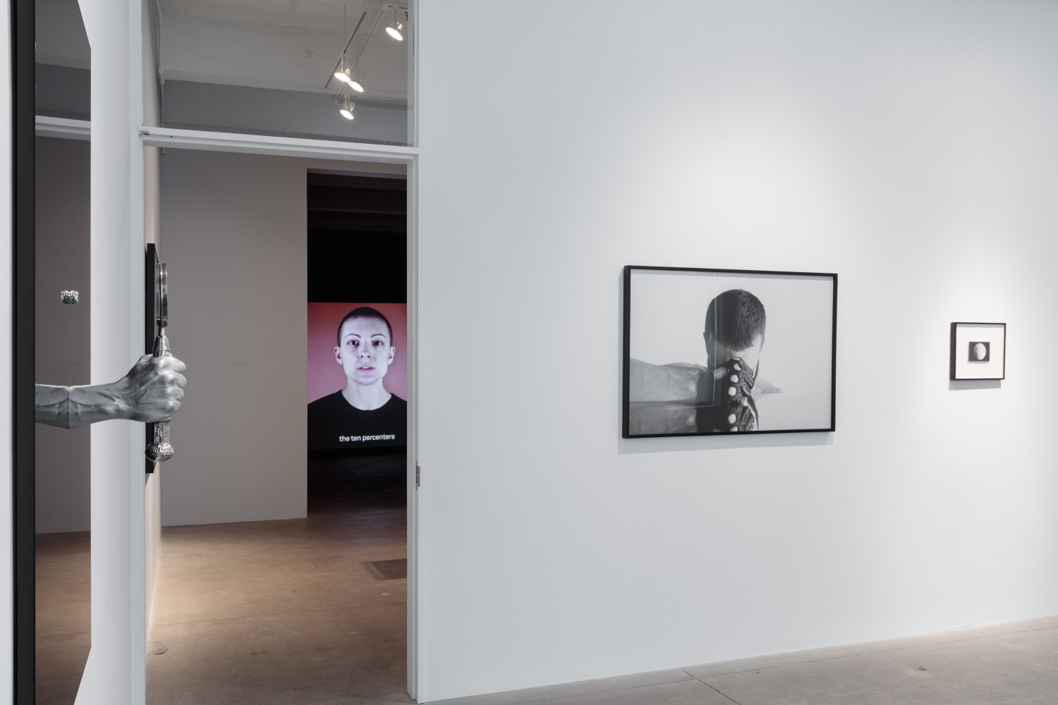 Carlos Motta, Conatus install 3