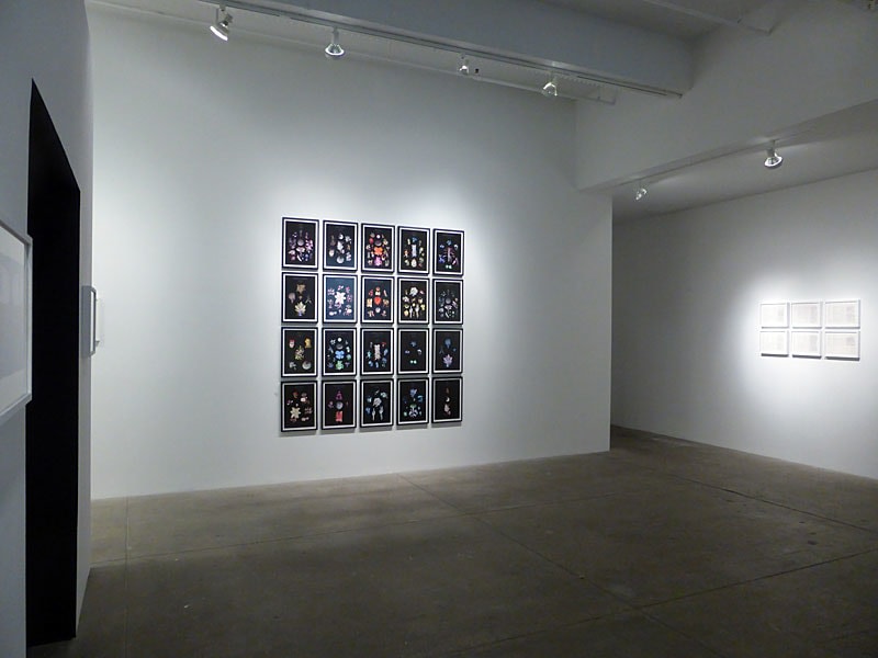 HFT The Gardener, install 2