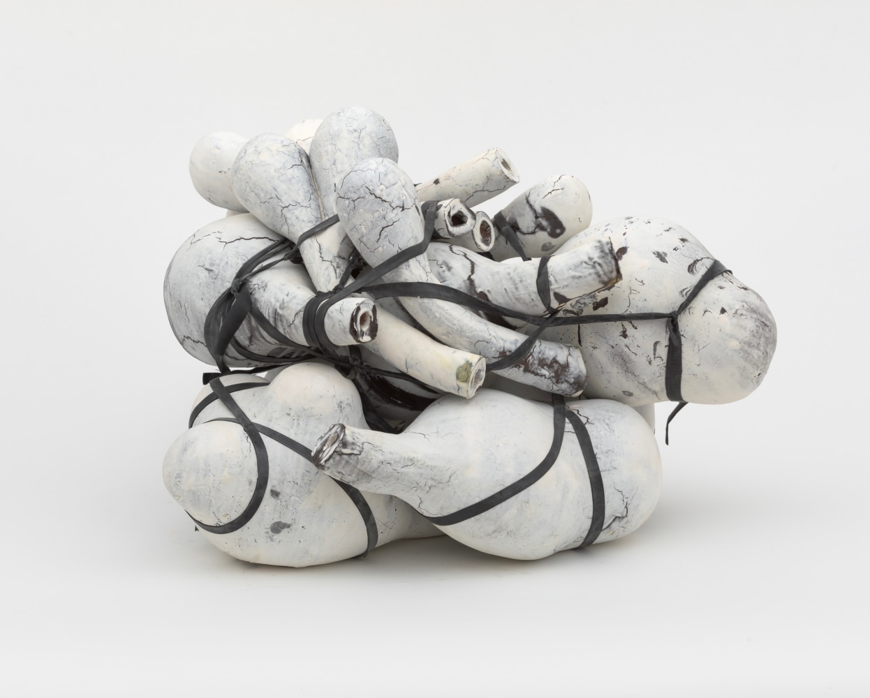 Annabeth Rosen, Swoll, 2012