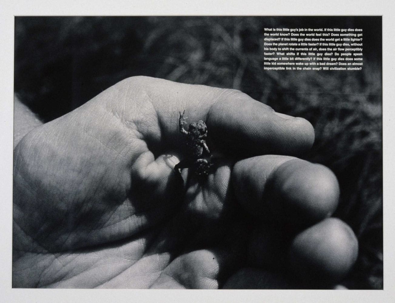 David Wojnarowicz, What is this little guy's job in the world, 1990