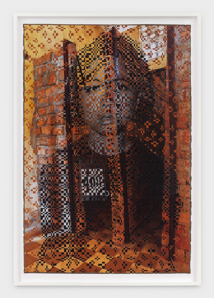 Artwork by Dinh Q. Lê