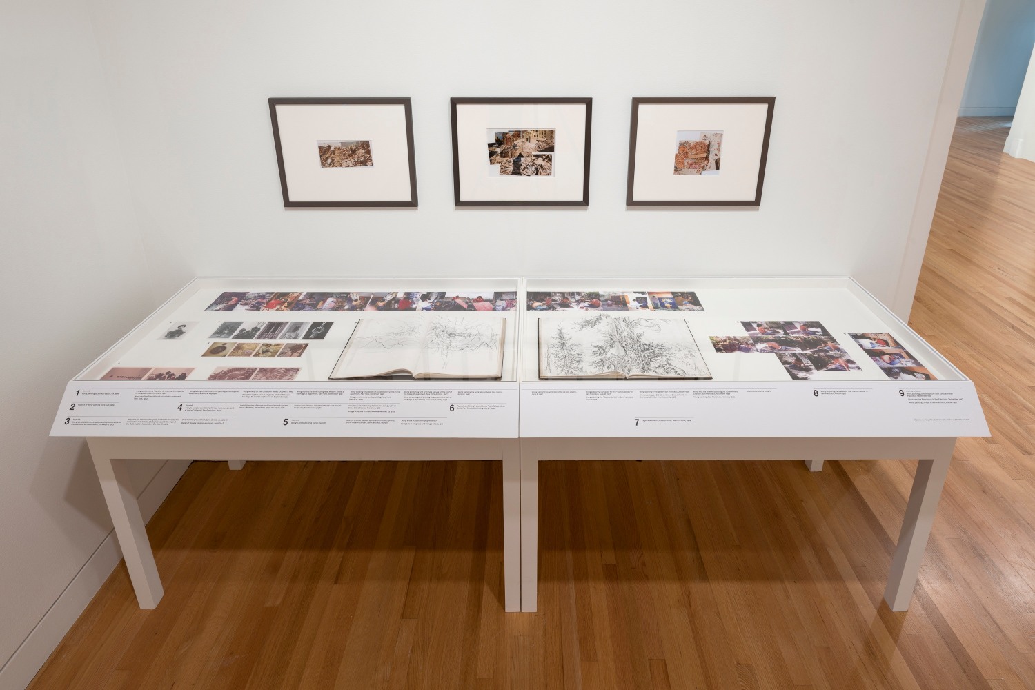Twilight Child: Antonia Kuo and Martin Wong (Installation View) Frye Art Museum, Seattle, WA June 15 &amp;ndash;September 15, 2024. Photo: Jueqian Fang.