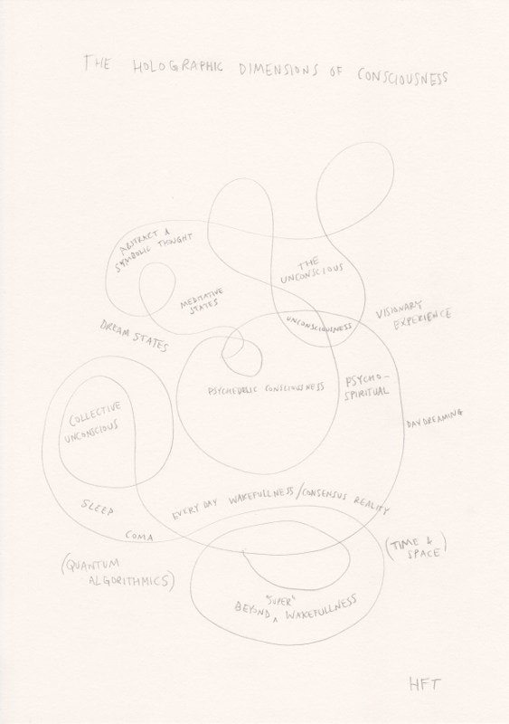 Suzanne Treister, HFT The Gardener/Diagrams/The Holographic Dimensions of Consciousness, 2015