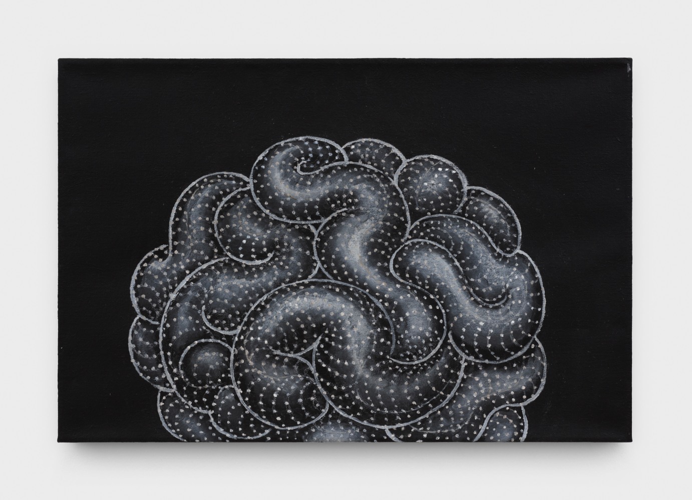 Martin Wong
Mammillaria wildii crest, 1997-98
acrylic on canvas
20 x 30 ins.
50.8 x 76.2 cm