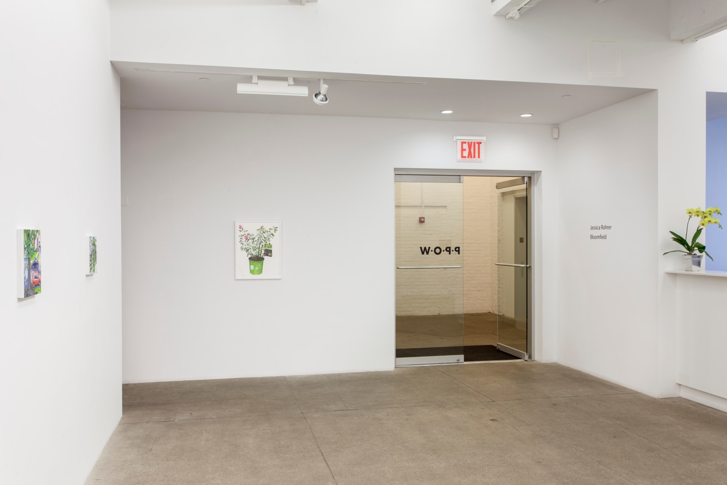 Bloomfield, install 5