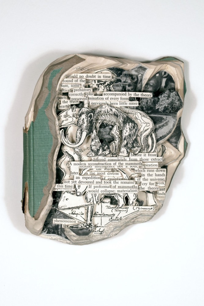 Brian Dettmer, Another Search For Adam, 2016