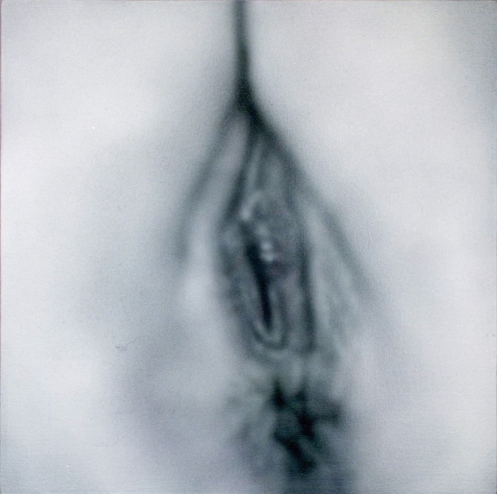 Betty Tompkins, Pussy Painting #22, 2012