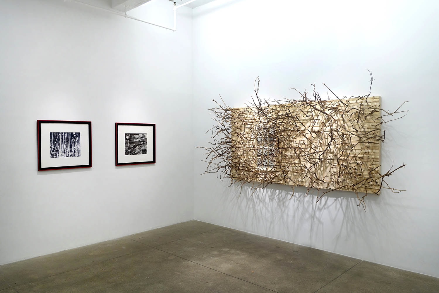 Visual Notes for an Upside Down World, install 5