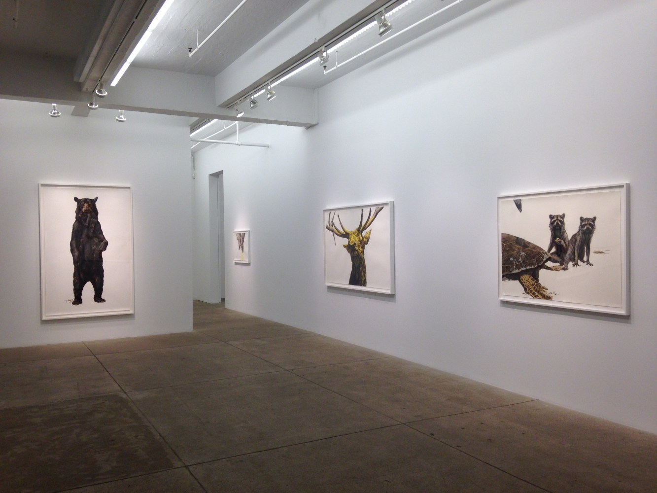 George Boorujy, Passenger install 8