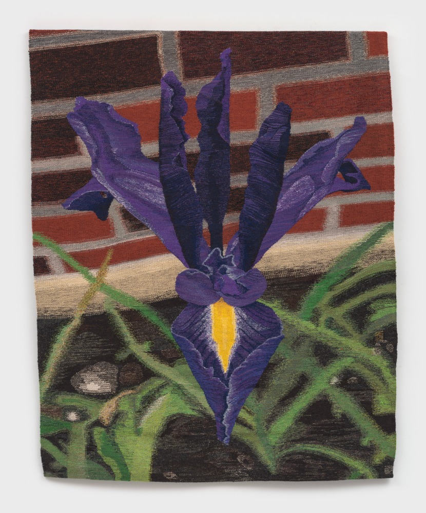 Erin M. Riley
iris, 2024
wool, cotton
59 1/2 x 48 1/2 ins.
151.1 x 123.2 cm