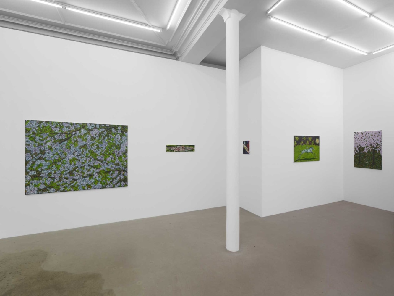 The Whorled (installation view). Photo by Aur&amp;eacute;lien Mole