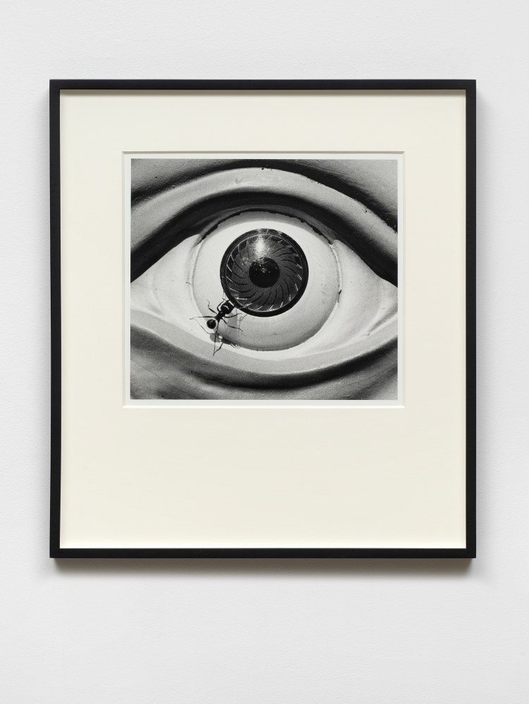 David Wojnarowicz
Untitled (eye with ants) from the Ant series, 1988-89
dated, titled, signed on verso
gelatin silver print
11 3/4 x 13 in.
29.8 x 33 cm