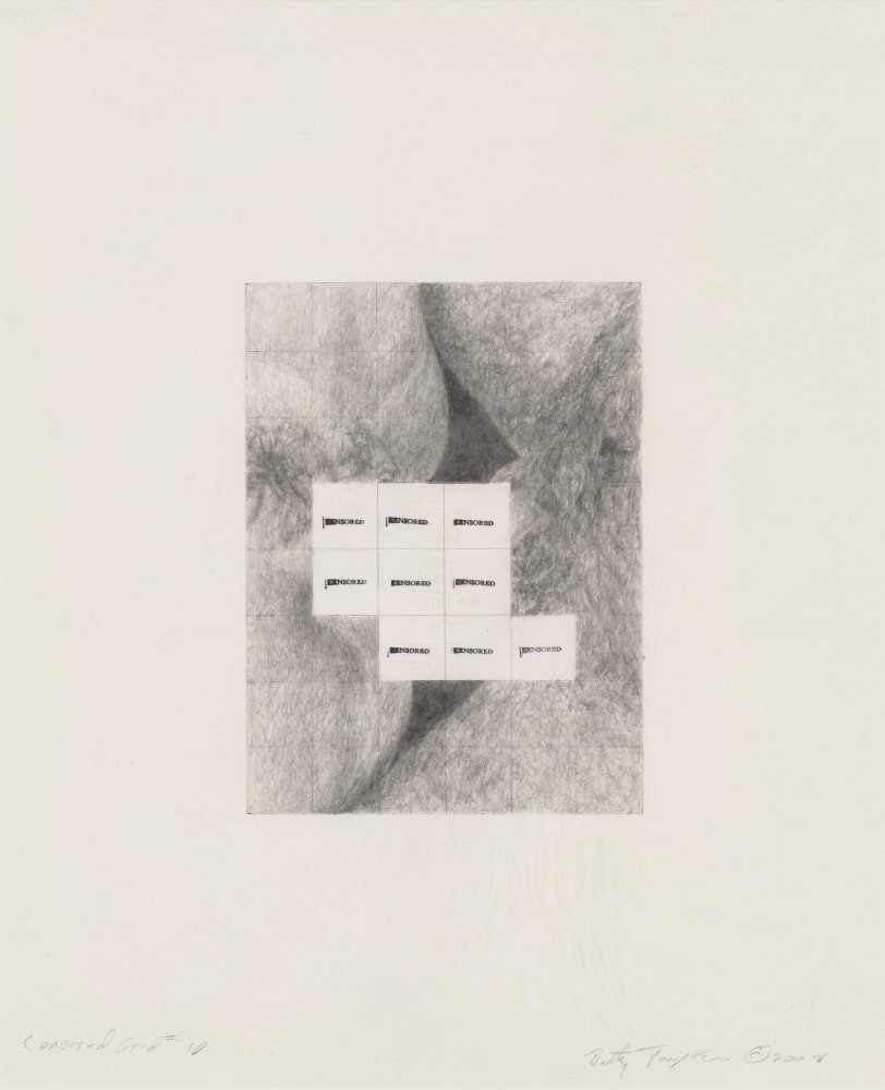 Betty Tompkins, Censored Grid #10, 2008