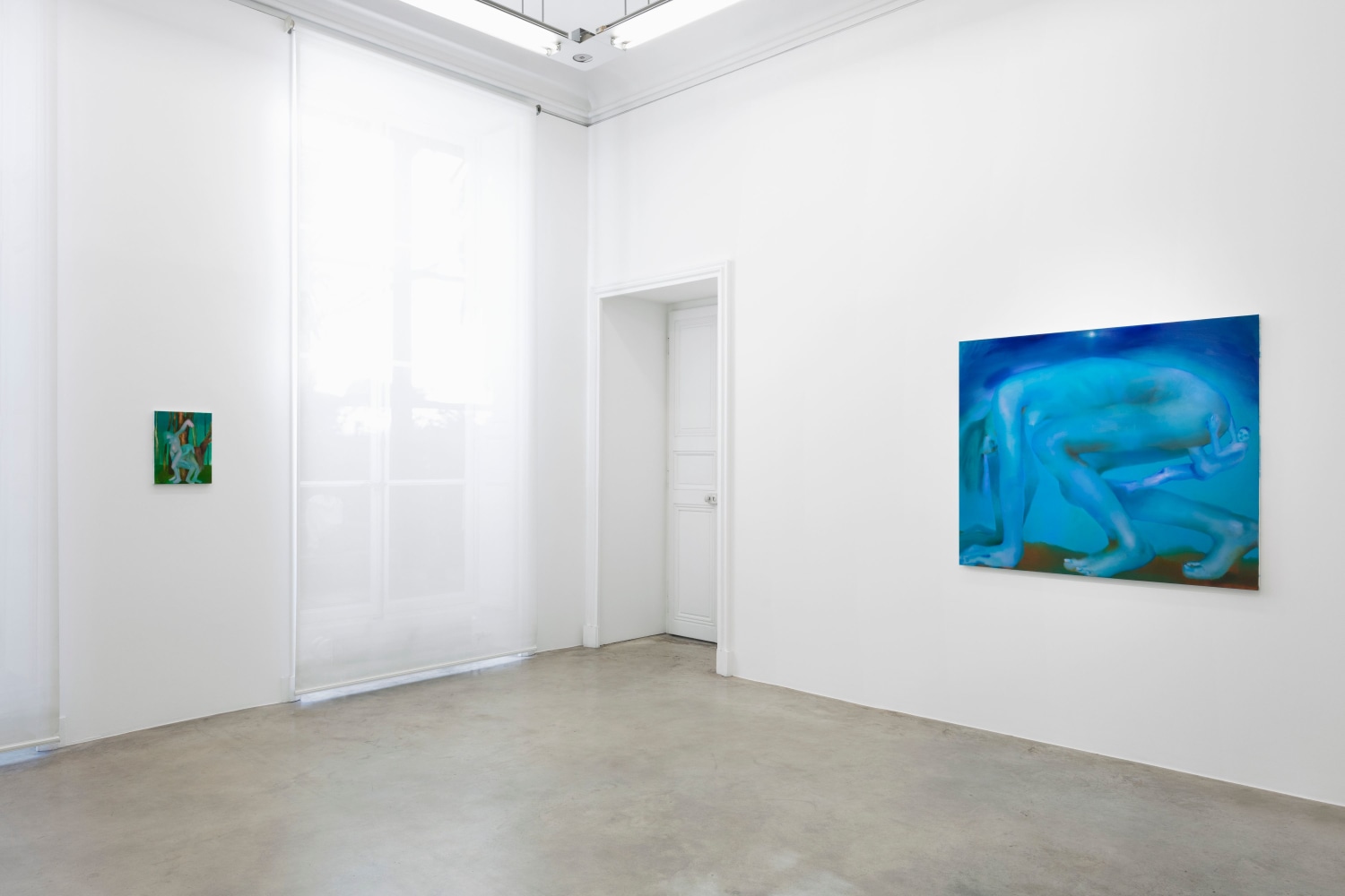 Elizabeth Glaessner, Dead Leg, installation view 8